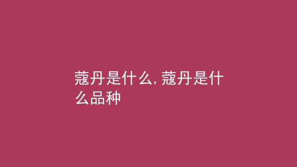 蔻丹是什么-蔻丹是什么时候兴起的