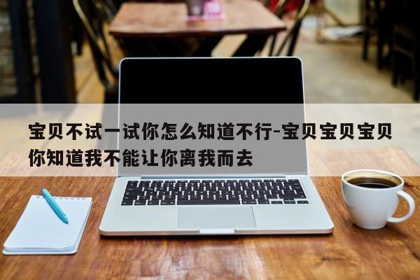 宝贝不试一试你怎么知道不行-宝贝宝贝宝贝你知道我不能让你离我而去