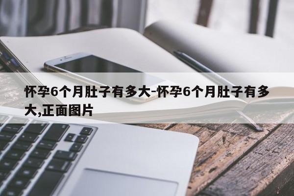 怀孕6个月肚子有多大-怀孕6个月肚子有多大,正面图片