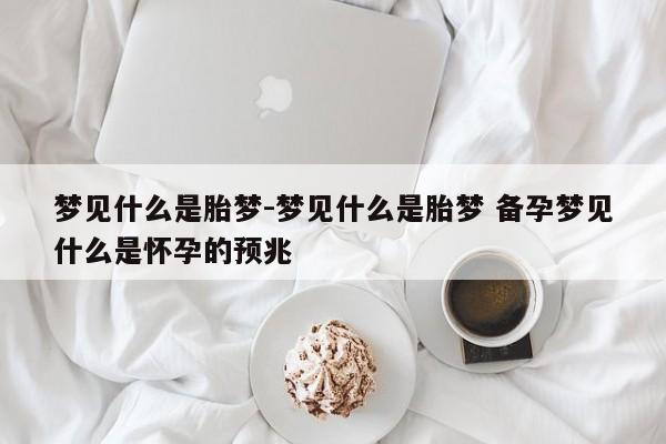 梦见什么是胎梦-梦见什么是胎梦 备孕梦见什么是怀孕的预兆