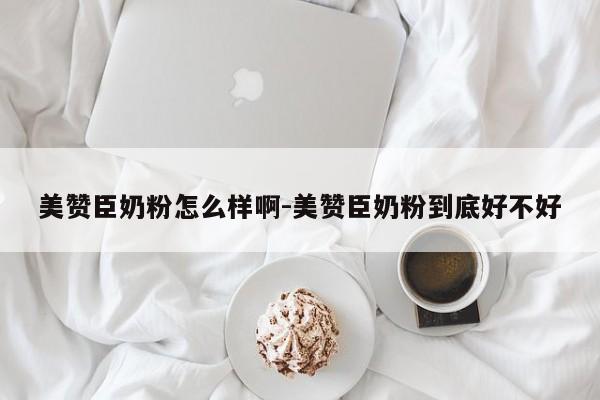 美赞臣奶粉怎么样啊-美赞臣奶粉到底好不好