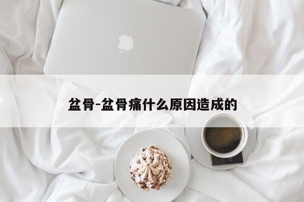 盆骨-盆骨痛什么原因造成的